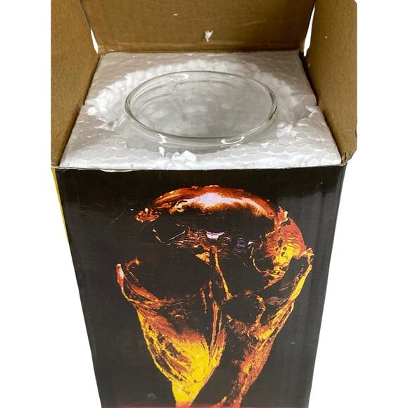 NIB FIFA WORLD CUP TROPHY BEER GLASS SOCCER FOOTBALL 2022 QATAR USA Lot of TWO - Picture 8 of 10